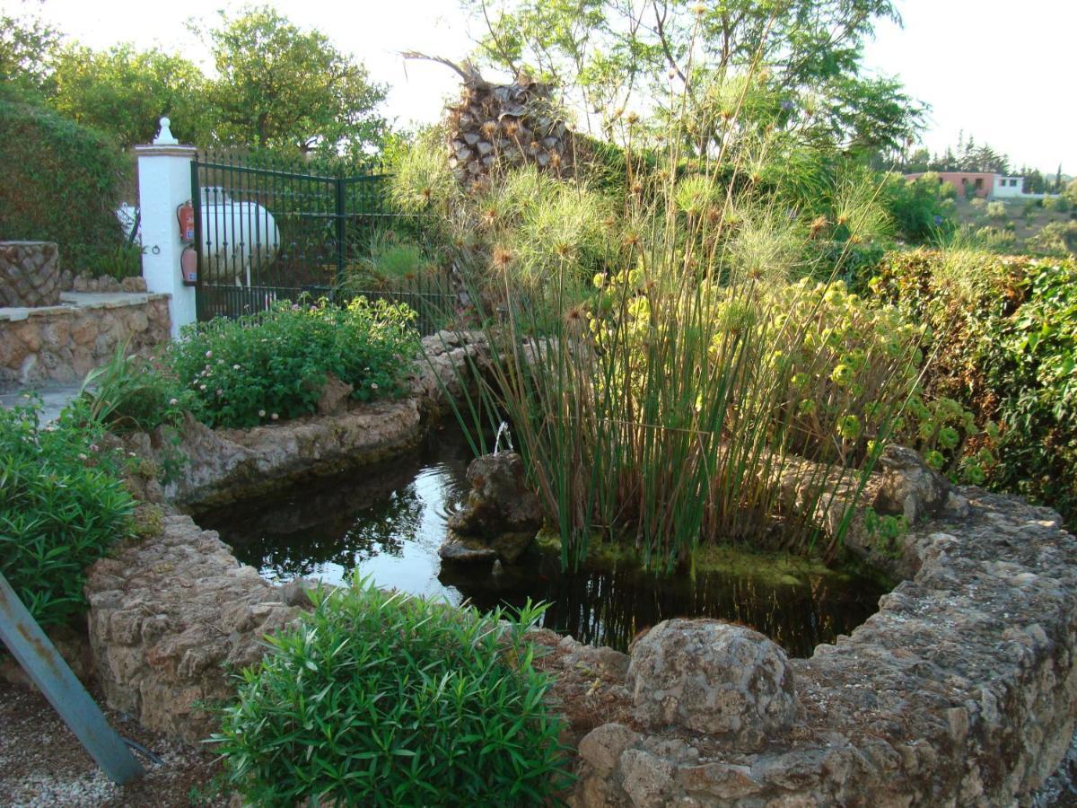 LOS CANTOS FINCA la RAJA 7 DORMITORIOS PISCINA PRIVADA Alhaurín el Grande Exterior foto